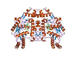 PDB 1ed5 EBI.jpg