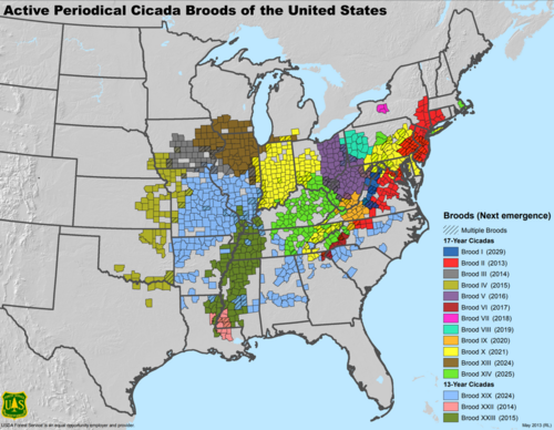 County-by-county map showing the locations of cicada broods, published May 2013