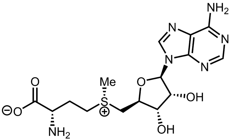 File:S-adenosyl methionine.png