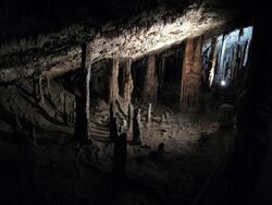 Skocjan Caves (3802558032).jpg