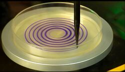 Spiral plater pattern on petri dish.jpg