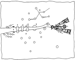 Toughening Mechanism in Epoxies.png