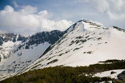 V Pirin IMG 1076.jpg