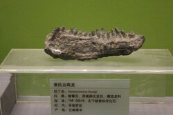 Yunnanosaurus-Tianjin Natural History Museum.jpg