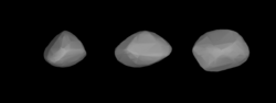 1559Kustaanheimo (Lightcurve Inversion).png