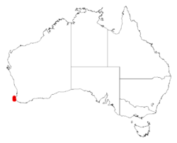 Acacia subracemosaDistMap869.png