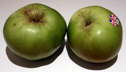 Brimley Apples.jpg