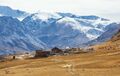 Animal Farm in the Altai Mountains