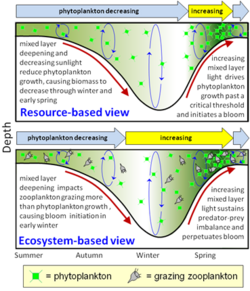 Competing scientific hypothesis of plankton variability.png