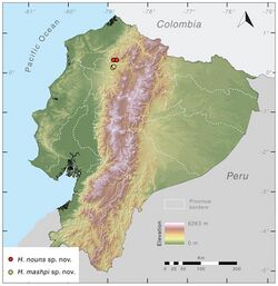 Distribution of Haylinobatrachium mashpi sp. nov. and H. nouns. sp. nov in Ecuador.jpg