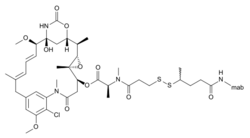 Mertansine mab structure.svg