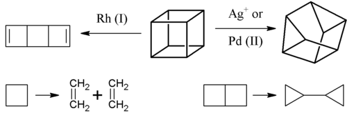 Scheme 1. Metal-ion-catalyzed σ-bond rearrangement