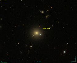 NGC 1004 SDSS.jpg