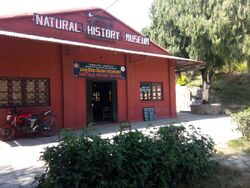 Natural History Museum Nepal - 2.jpg