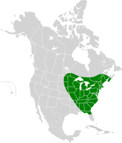Neonemobius palustris map.svg