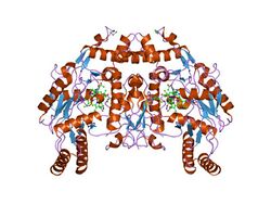 PDB 1p6n EBI.jpg