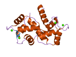 PDB 1zuz EBI.png