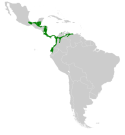 Phaethornis striigularis map.svg