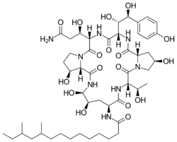 Pneumocandin B0.svg