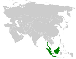 Pycnonotus plumosus distribution map.png