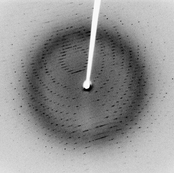 File:X-ray diffraction pattern 3clpro.jpg
