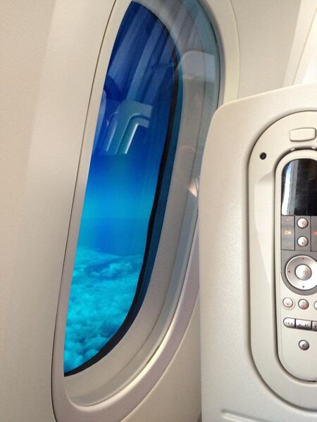 File:ANA Boeing 787-8 Dreamliner electrochromic window.jpg