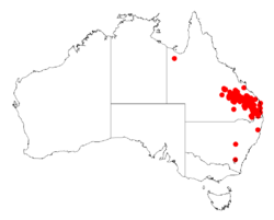 Acacia glaucocarpaDistMap392.png