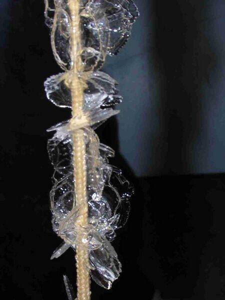 File:Anchor ice platelets on rope.JPG
