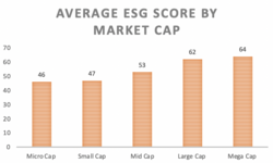 Average ESG score per cap.png