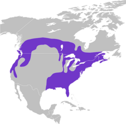 The range includes the United States, east of the Mississippi river, most of lower of Canada, extending up into the Northern Rocky Mountains, and down the Pacific Coast into central California