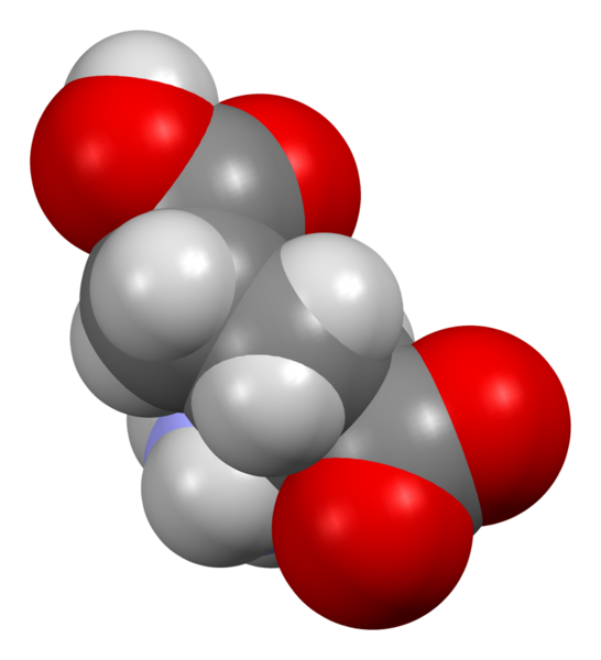 File:Glutamic-acid-from-xtal-view-2-3D-sf.png