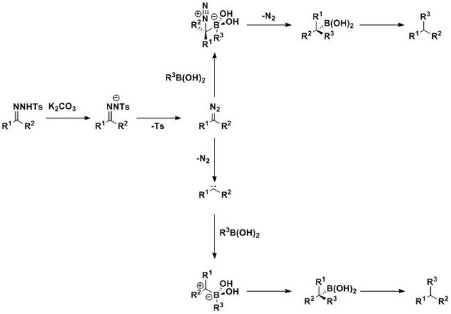 Reaction proceeds via a diazo intermediate and then can take one of two equally plausible mechanistic pathways.