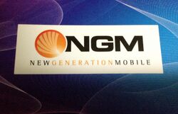 NGM logo.JPG