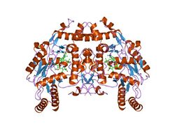 PDB 1m9q EBI.jpg