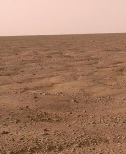 Phoenix mission patterned ground, Mars.jpg