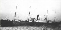 SS Cevic.jpg