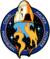 Mission insignia for SpaceX Crew-3