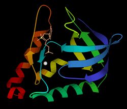 Staph nuclease 3h6m ribbon.jpg