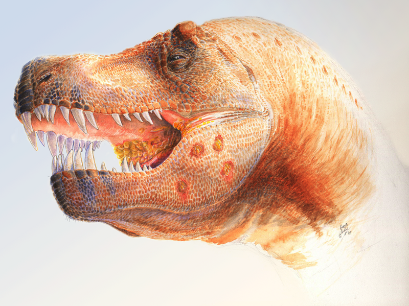 File:T. rex infection.png