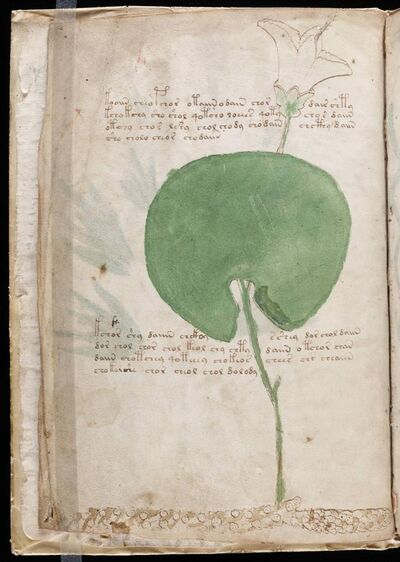Page six of the Voynich Manuscript.