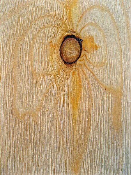 File:Wood Knot.JPG
