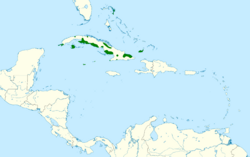 Amazona leucocephala map.svg