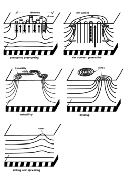 Convection process.png