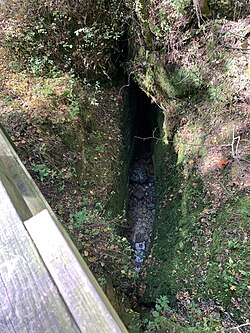 Devil’s Icebox Sinkhole.jpg