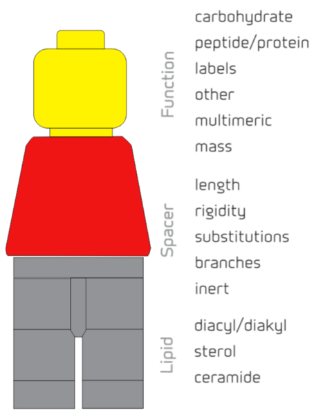 File:FSL Lego features.png