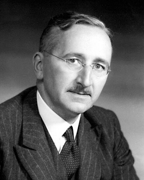 File:Friedrich Hayek portrait.jpg