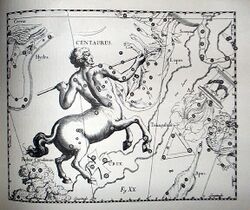 Johannes Hevelius - Prodromus Astronomia - Volume III "Firmamentum Sobiescianum, sive uranographia" - Tavola XX - Centaurus et Crux.jpg