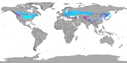 Köppen World Map Dsa, Dwa, Dfa, Dsb, Dwb and Dfb (Humid continental).svg