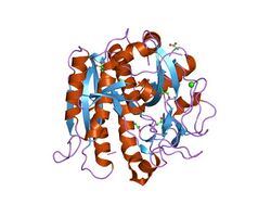 PDB 1ga6 EBI.jpg