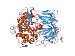 PDB 1uoq EBI.jpg